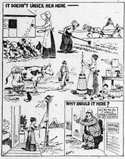 woman suffrage political cartoon