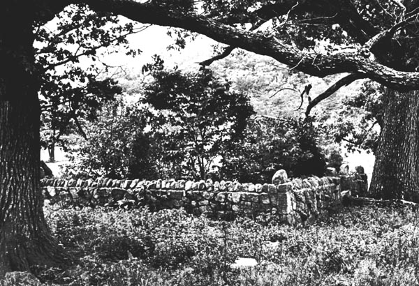 Stone fence enclosing common grave of victims of Fort
Seybert
Massacre