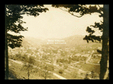 View of Mannington through trees on hillside.