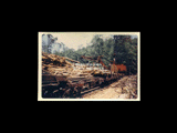 Logging scene. Log loader loading logs onto flatcar. From small red photo album.