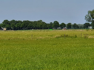 Field where Lt. William H. Corkrean's plane crashed.