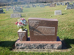 Grave marker for Jimmie Shannon in Old Brick Church Cemetery in Huttonsville. Courtesy Cynthia Mullens